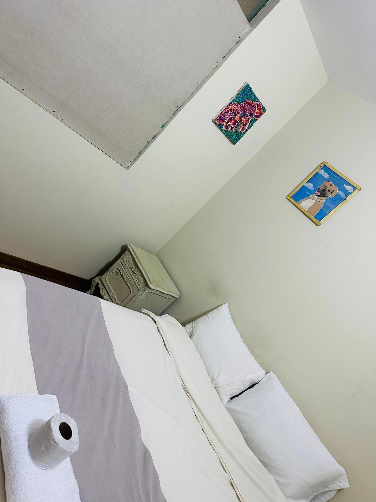 Hostel Colores Miraflores Distretto di Distretto di Lima Esterno foto